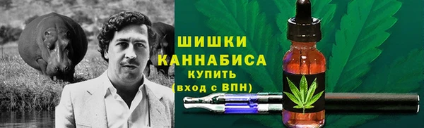 ПСИЛОЦИБИНОВЫЕ ГРИБЫ Алексеевка