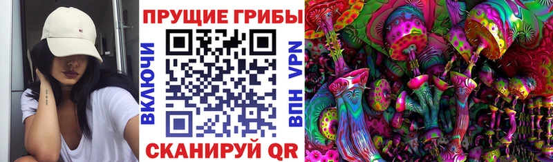 Псилоцибиновые грибы Psilocybe Ухта