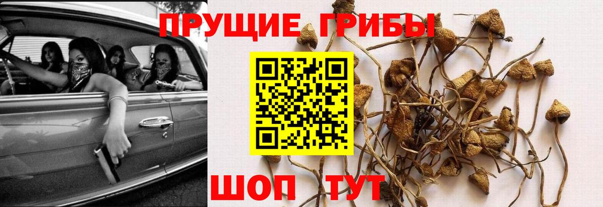 Ухта  купить наркотики сайты  Вход с VPN  Псилоцибиновые грибы Psilocybine cubensis 